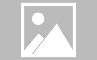 邹城龙江乐从网站建设（乐从和龙江）